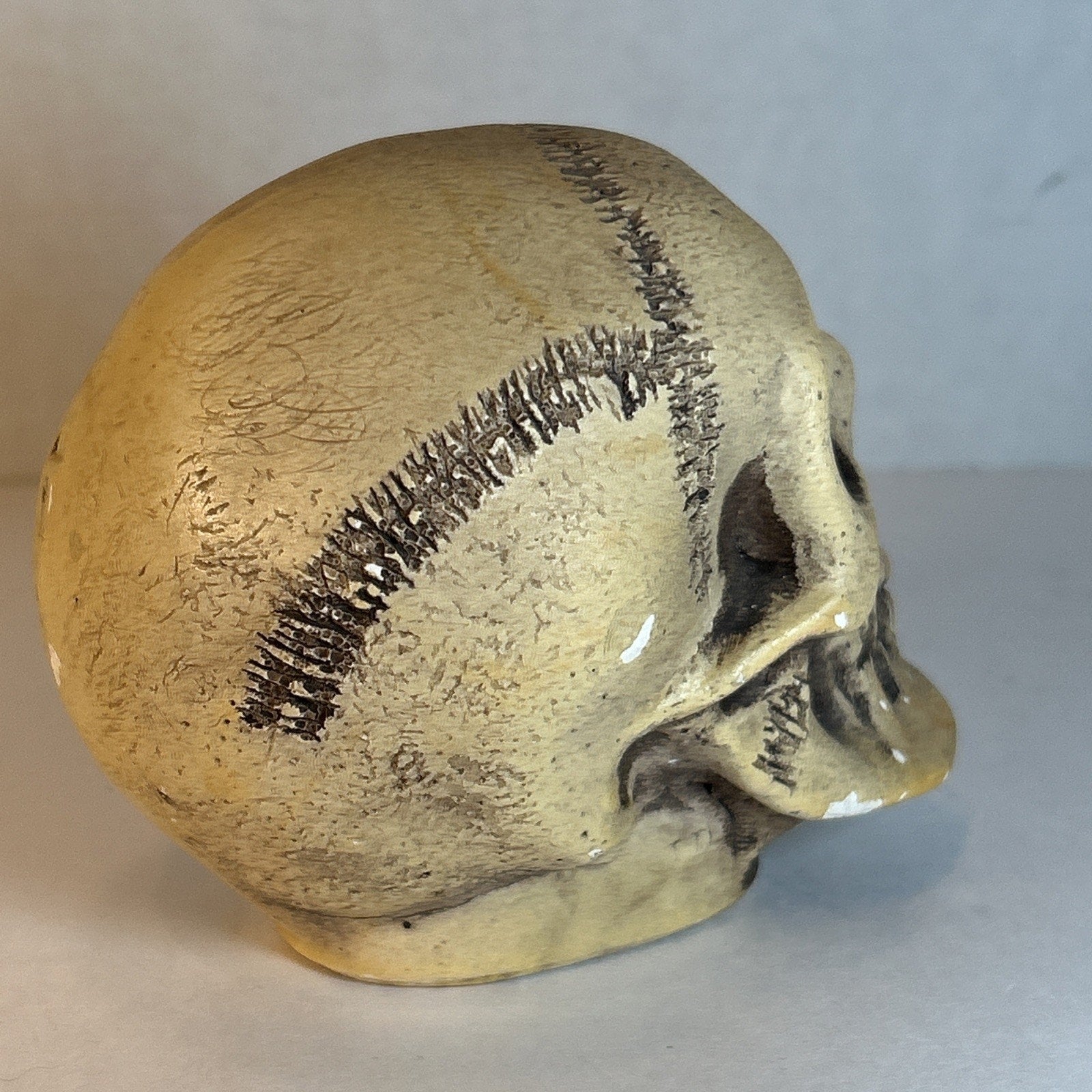 Rare Antique Ernst Bohne Bisque Skull Figurine #829 Germany 1900s – Macabre