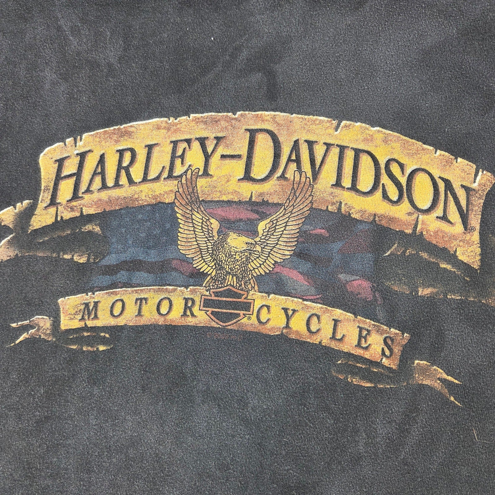 Harley Davidson 3XL T Shirt Lot Wild Prairie MN Sundance WY Distressed