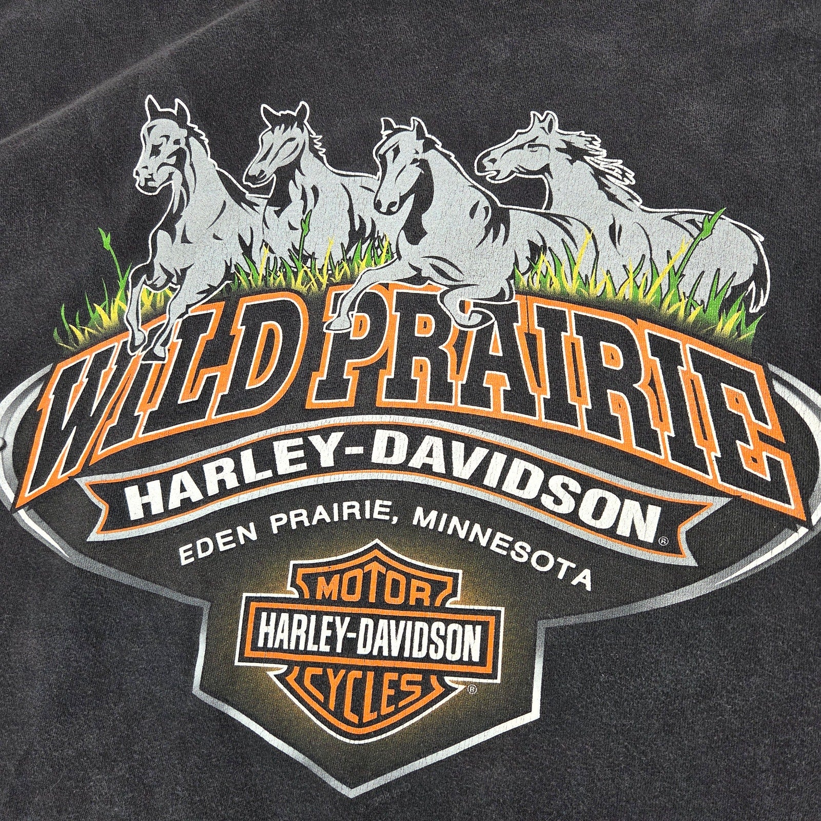 Harley Davidson 3XL T Shirt Lot Wild Prairie MN Sundance WY Distressed