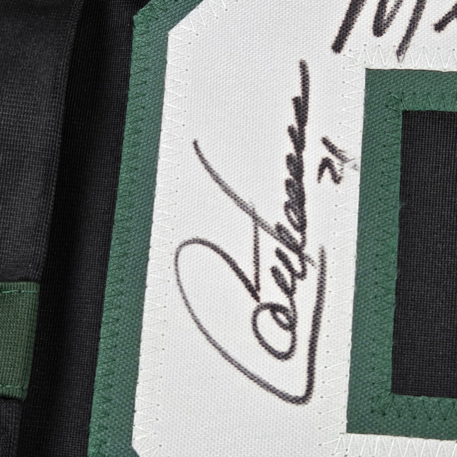 1999 Dallas Stars 13x Signed Stanley Cup Champs Jersey BAS Witness Hull Modano