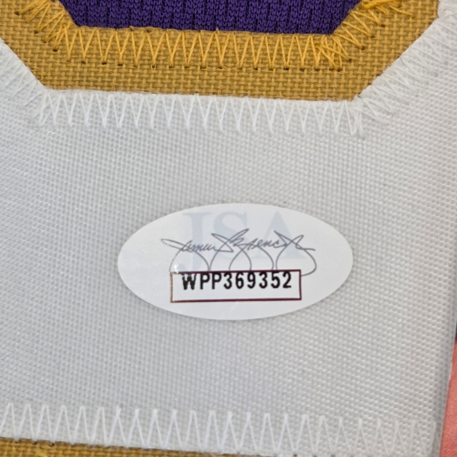 Williams Wall Vikings #93 #94 Kevin Williams Signed Jersey JSA COA XL Purple