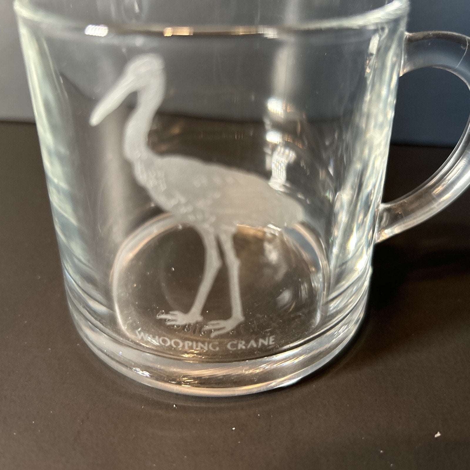 Luminarc France Endangered Species Etched Glass Espresso Mugs Set of 7 Vintage