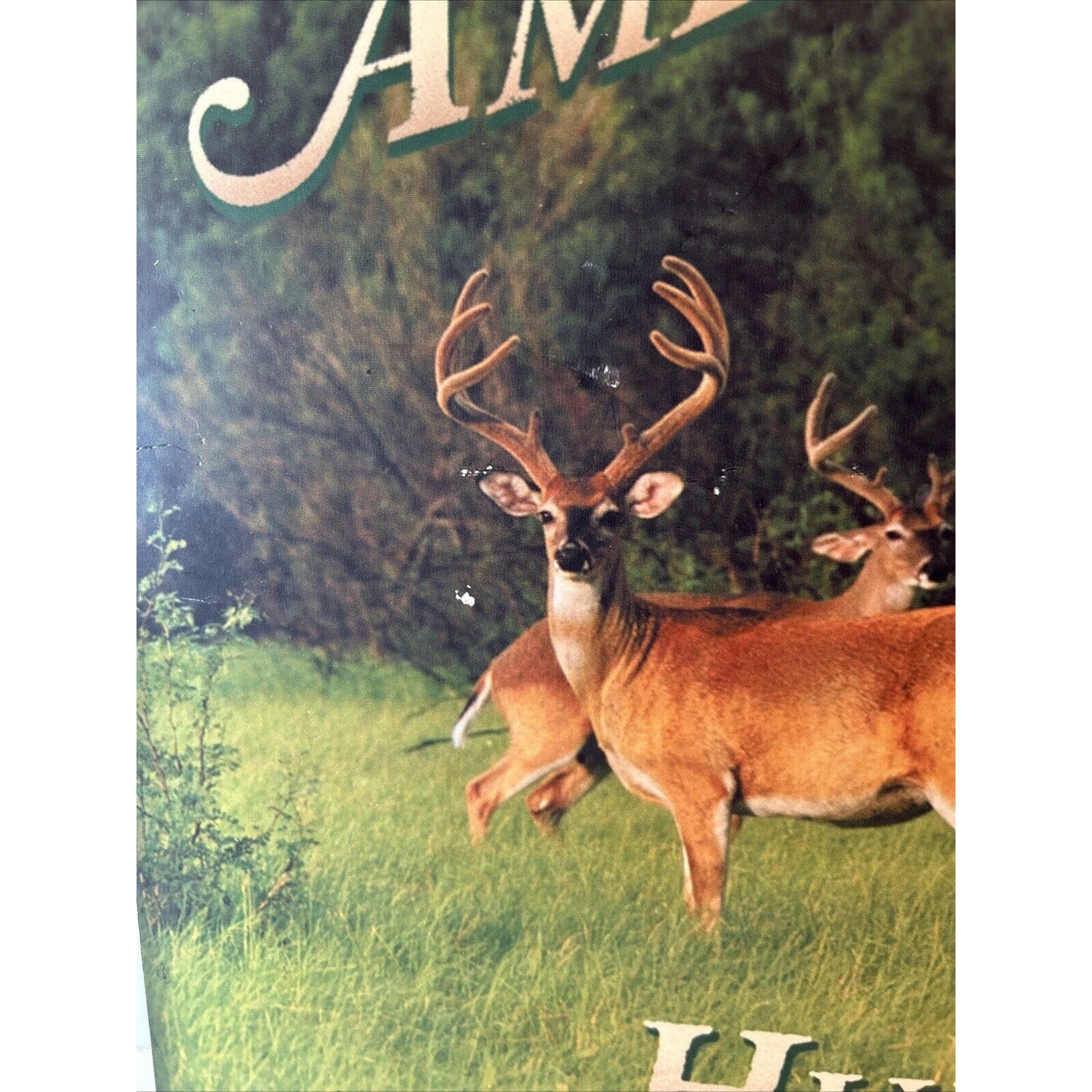 American Sportsman Hunting Club Wooden Wall Sign Deer Lodge Decor 16"x11"