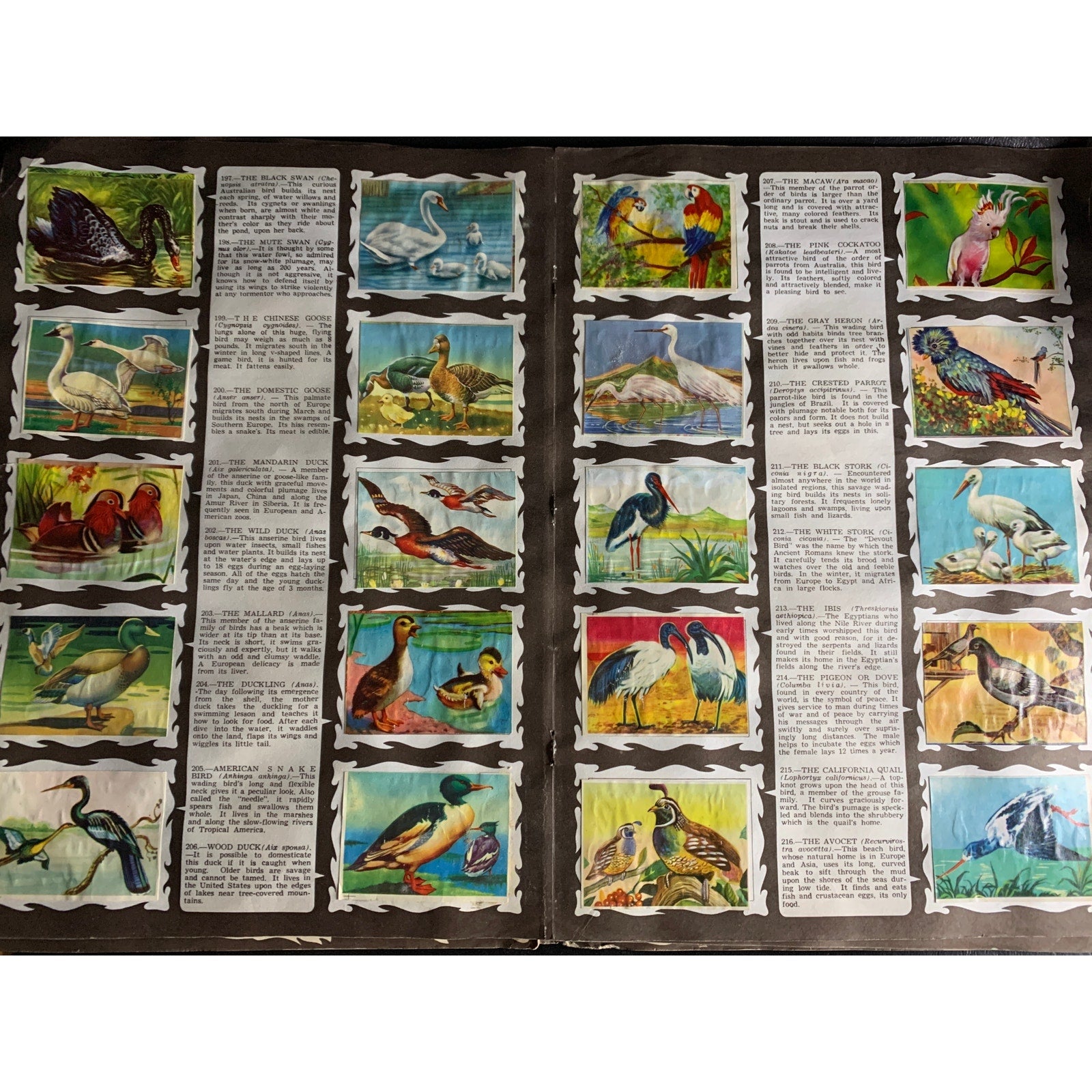 1959 Wonders of the Animal Kingdom Stamp Album Howard Winter Golden Glow AS IS