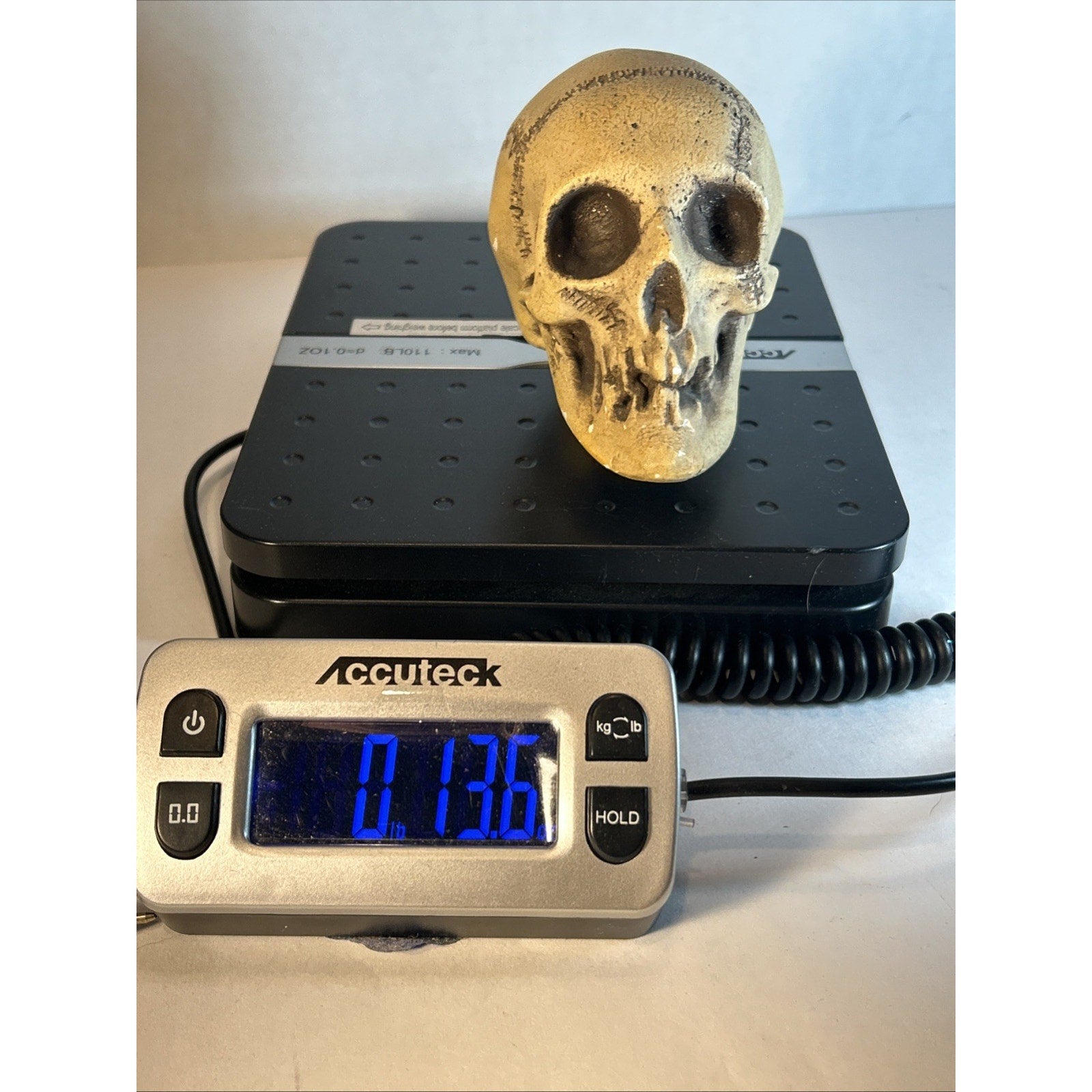 Rare Antique Ernst Bohne Bisque Skull Figurine #829 Germany 1900s – Macabre