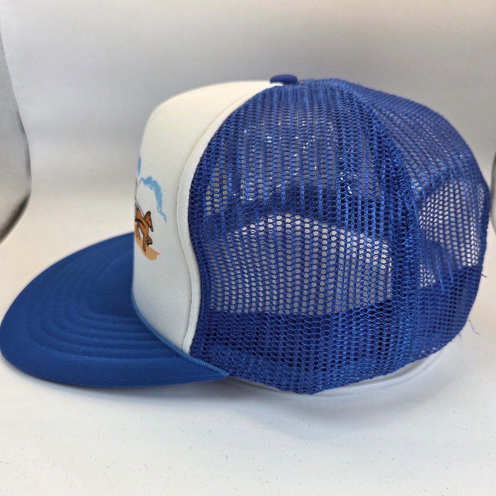 Vintage Mackinac Island MI Trucker Hat Foam Mesh Snapback Taiwan R.O.C. Blue