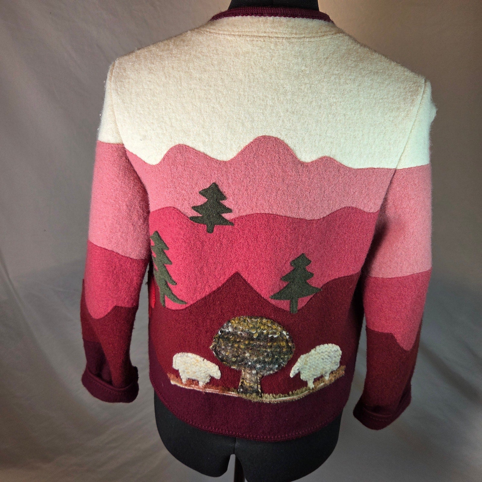 Giesswein Tirol Boiled Wool Storybook Cardigan Jacket Austria EU 38 Vintage