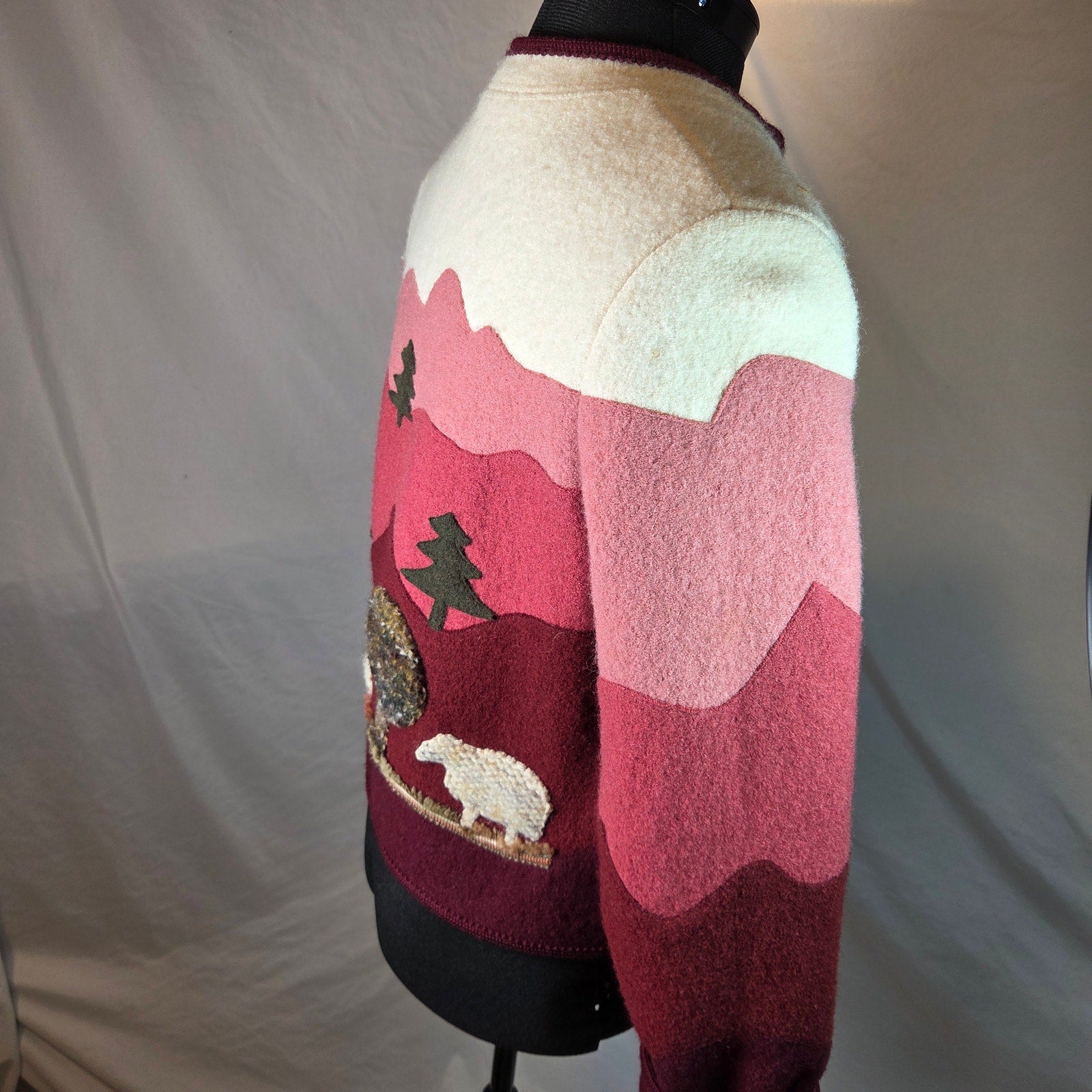 Giesswein Tirol Boiled Wool Storybook Cardigan Jacket Austria EU 38 Vintage