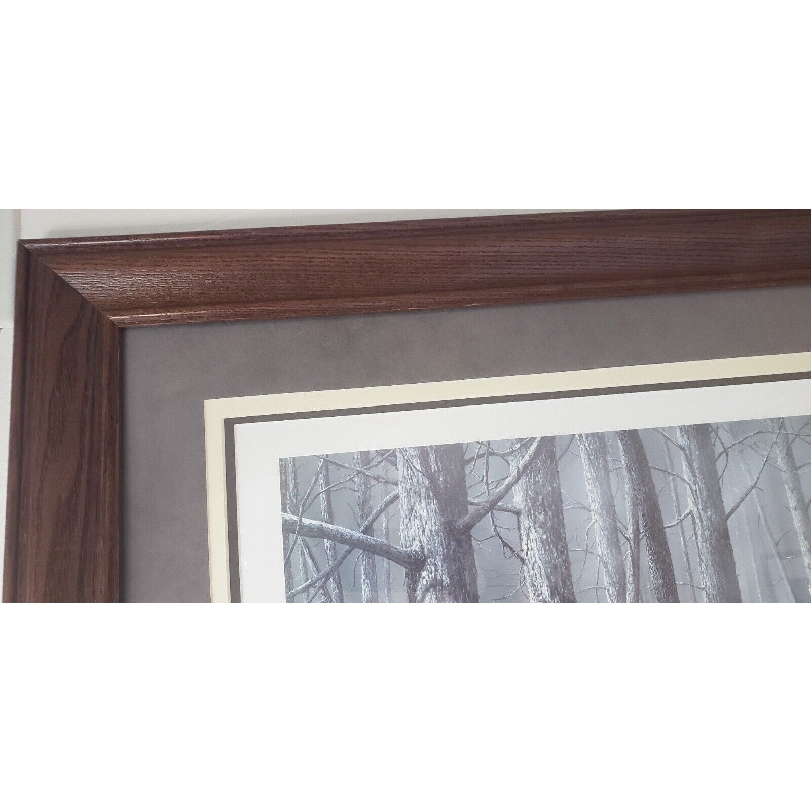 Kevin Daniel "The Consequence of Fire" Framed Art Print LE 81/450 w/ COA 44"x33"