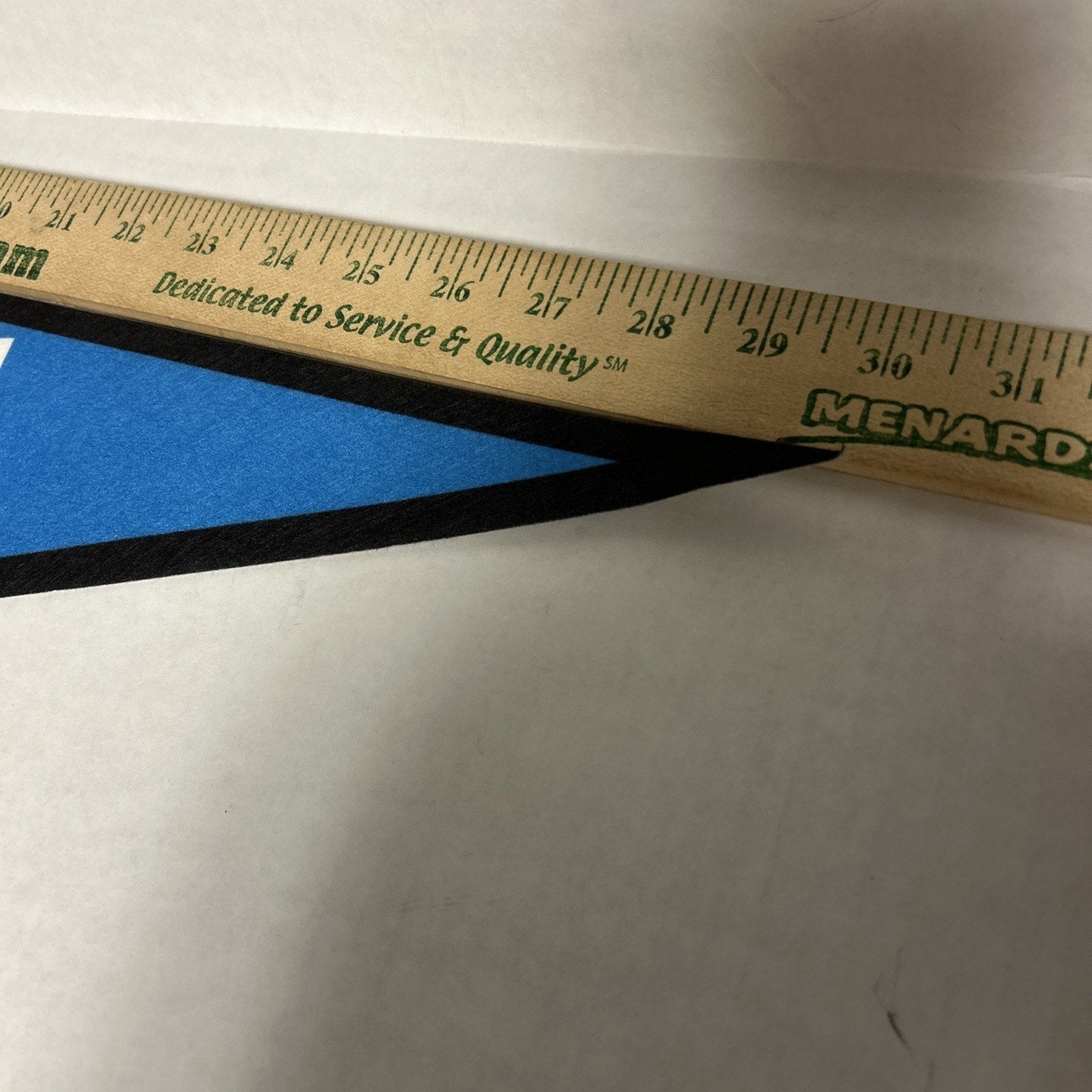 Carolina Panthers NFL 12" X 30" Wincraft Felt Pennant