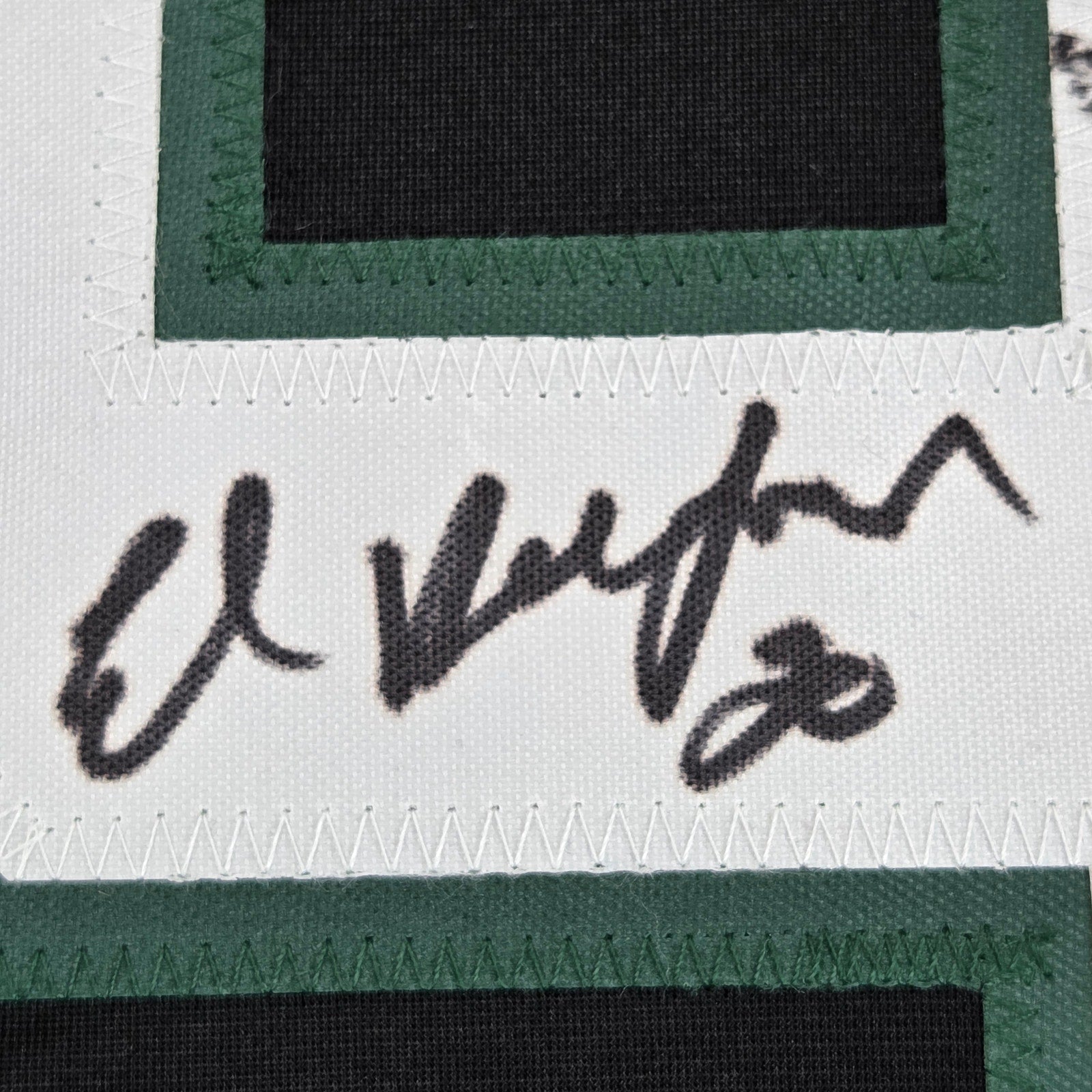 1999 Dallas Stars 13x Signed Stanley Cup Champs Jersey BAS Witness Hull Modano
