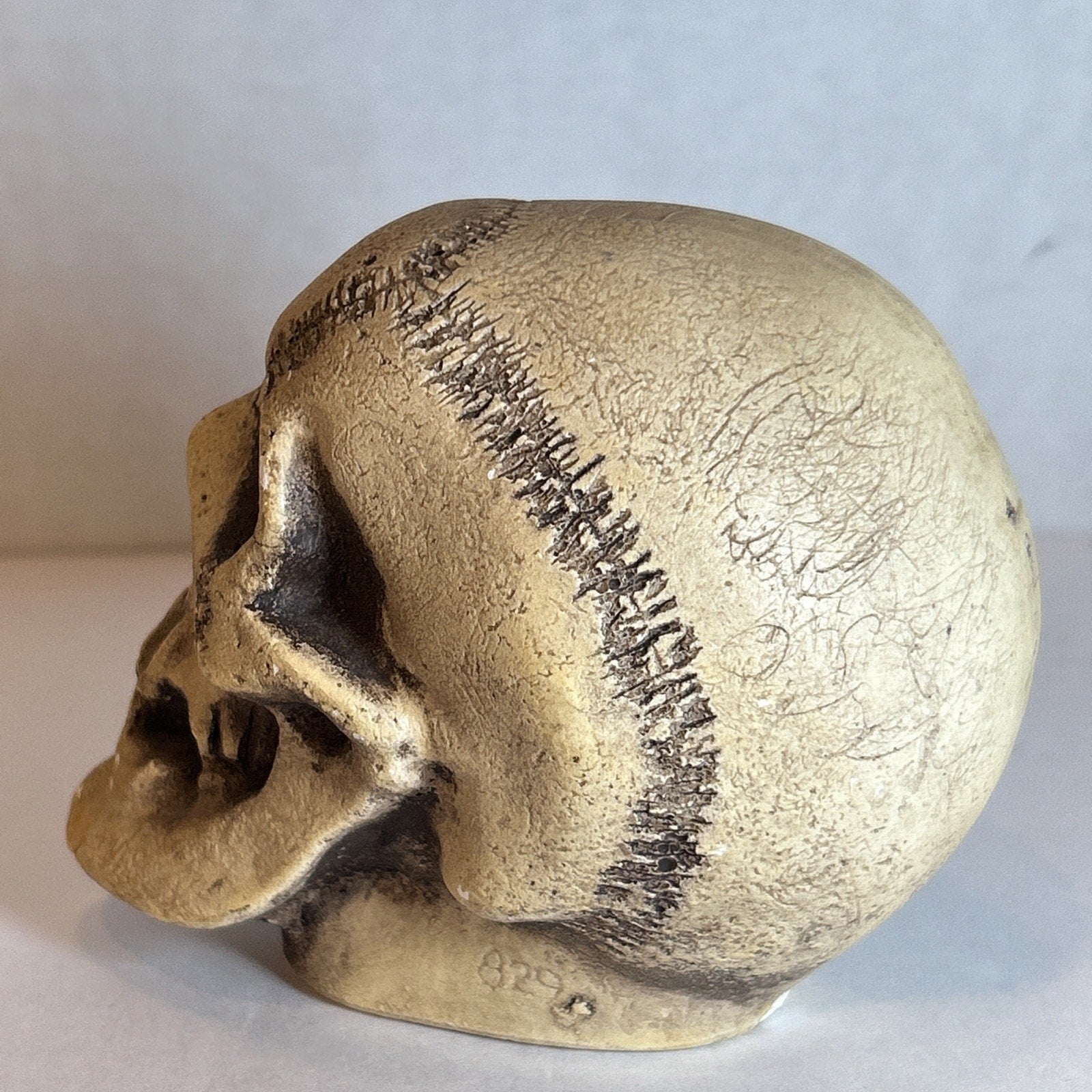 Rare Antique Ernst Bohne Bisque Skull Figurine #829 Germany 1900s – Macabre