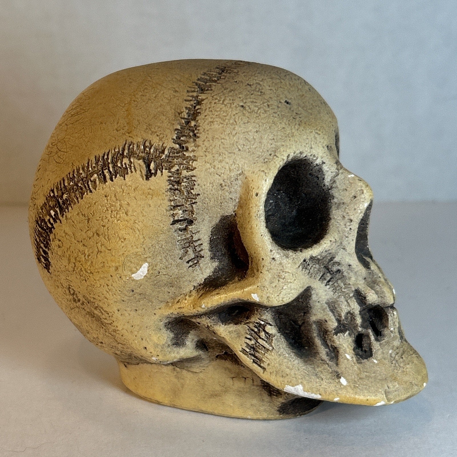 Rare Antique Ernst Bohne Bisque Skull Figurine #829 Germany 1900s – Macabre