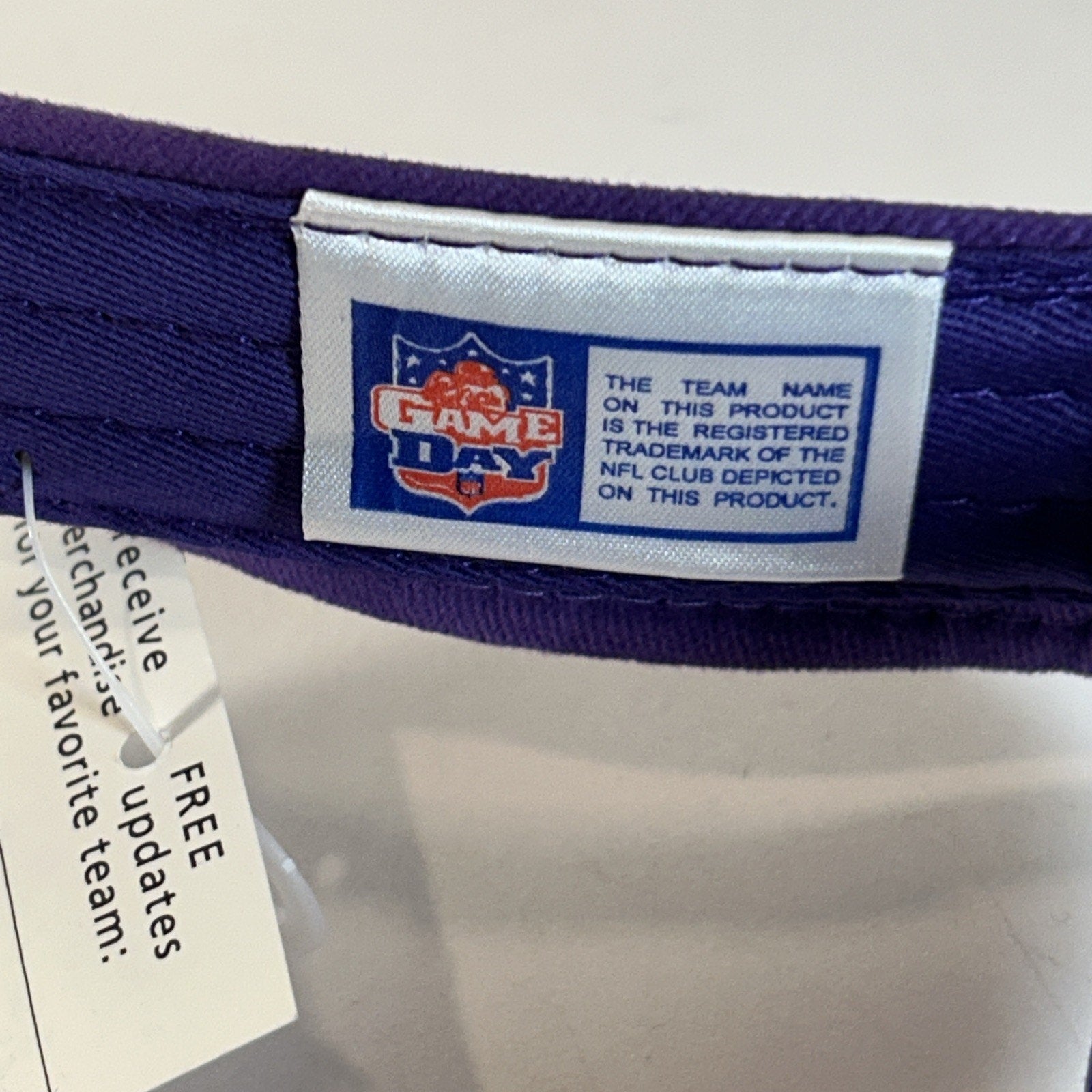 Minnesota Vikings NFL Purple Adjustable Visor Hook Loop OSFA NWT