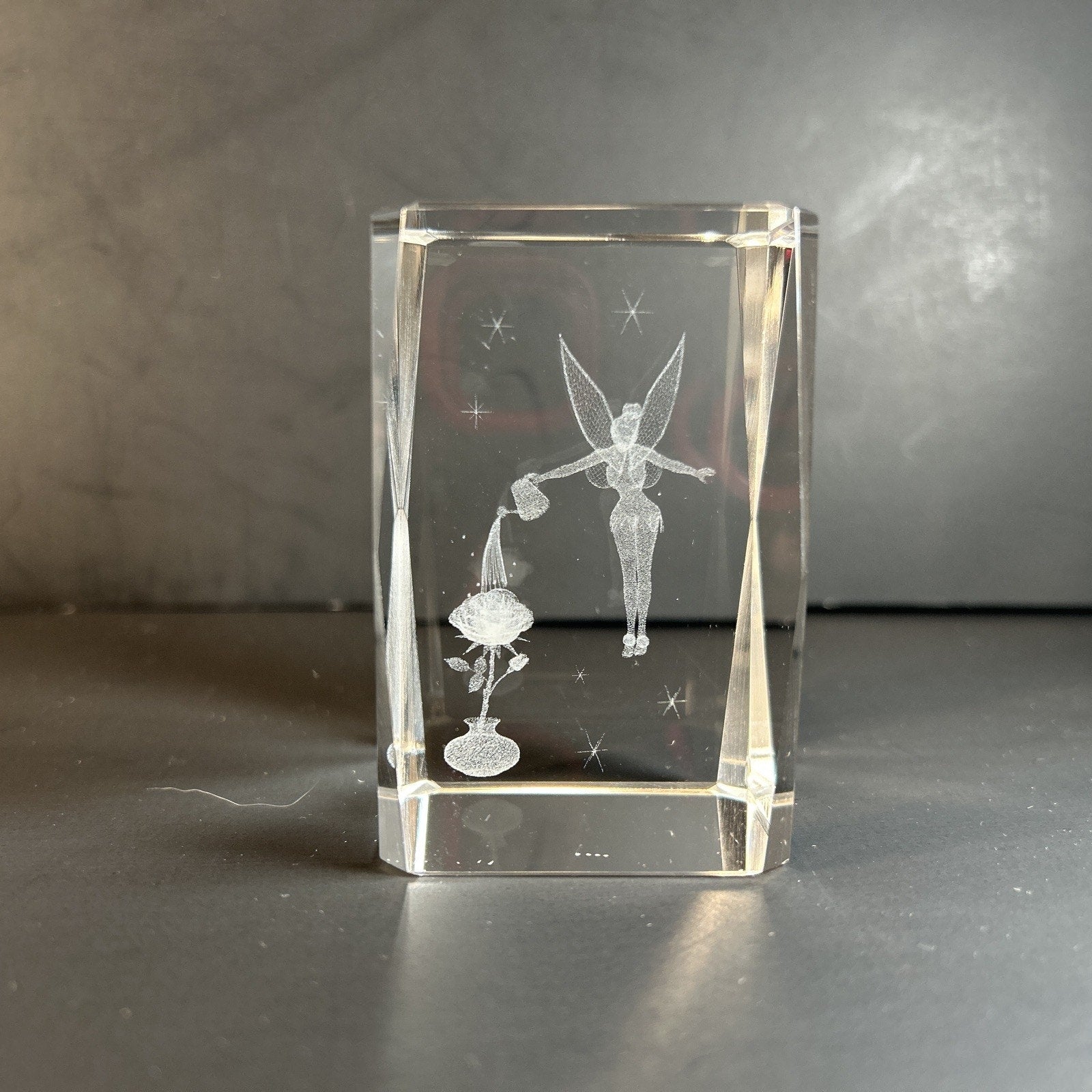 Tinker Bell Watering a Flower 3d Etched Disney Crystal Glass 3"x2" Paper Weight