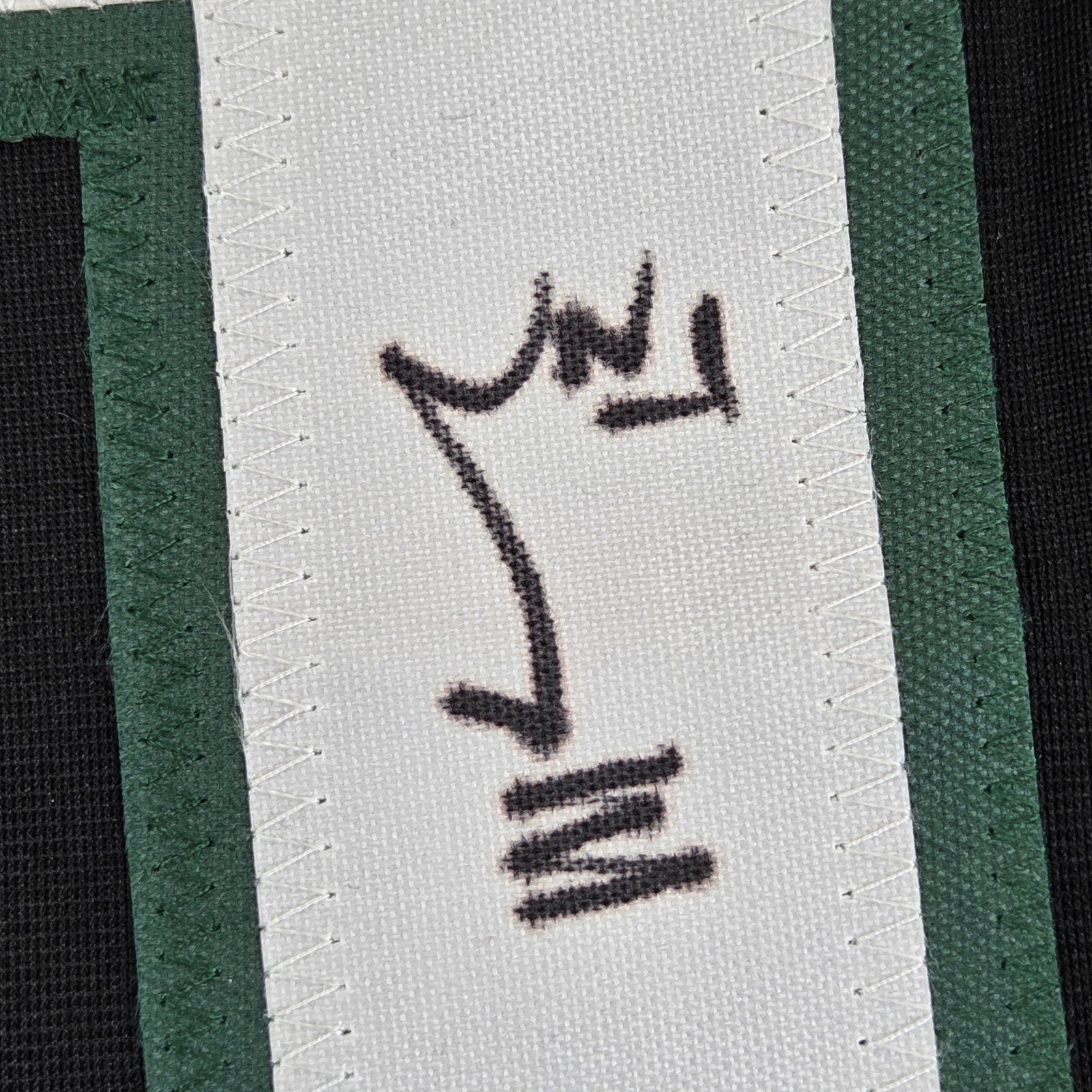 1999 Dallas Stars 13x Signed Stanley Cup Champs Jersey BAS Witness Hull Modano