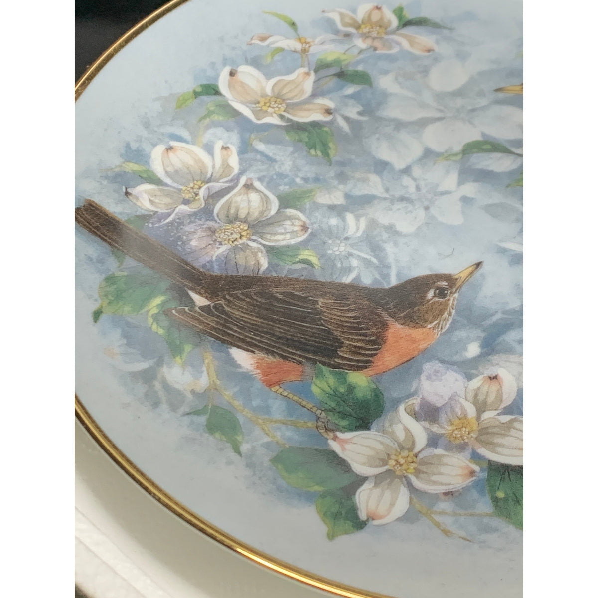 Franklin Mint Spring Serenade Theresa Politowicz Robin Collector Plate