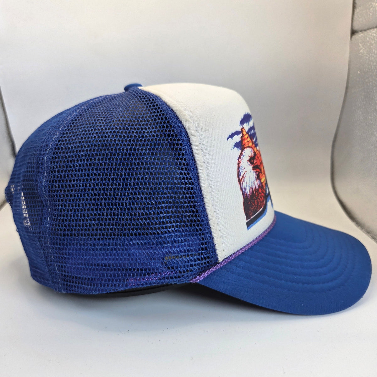 Vintage Nissin Arizona Eagle Cactus Foam Mesh Trucker Hat Snapback Rope Cap