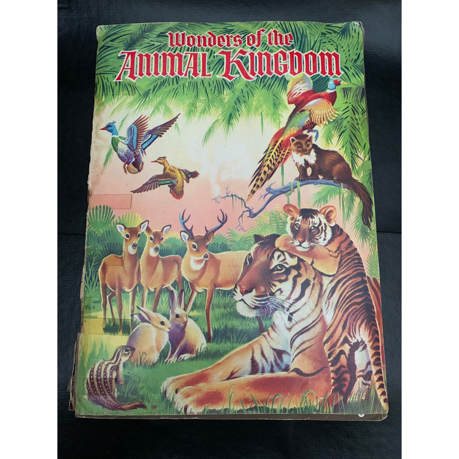 1959 Wonders of the Animal Kingdom Stamp Album Howard Winter Golden Glow AS IS