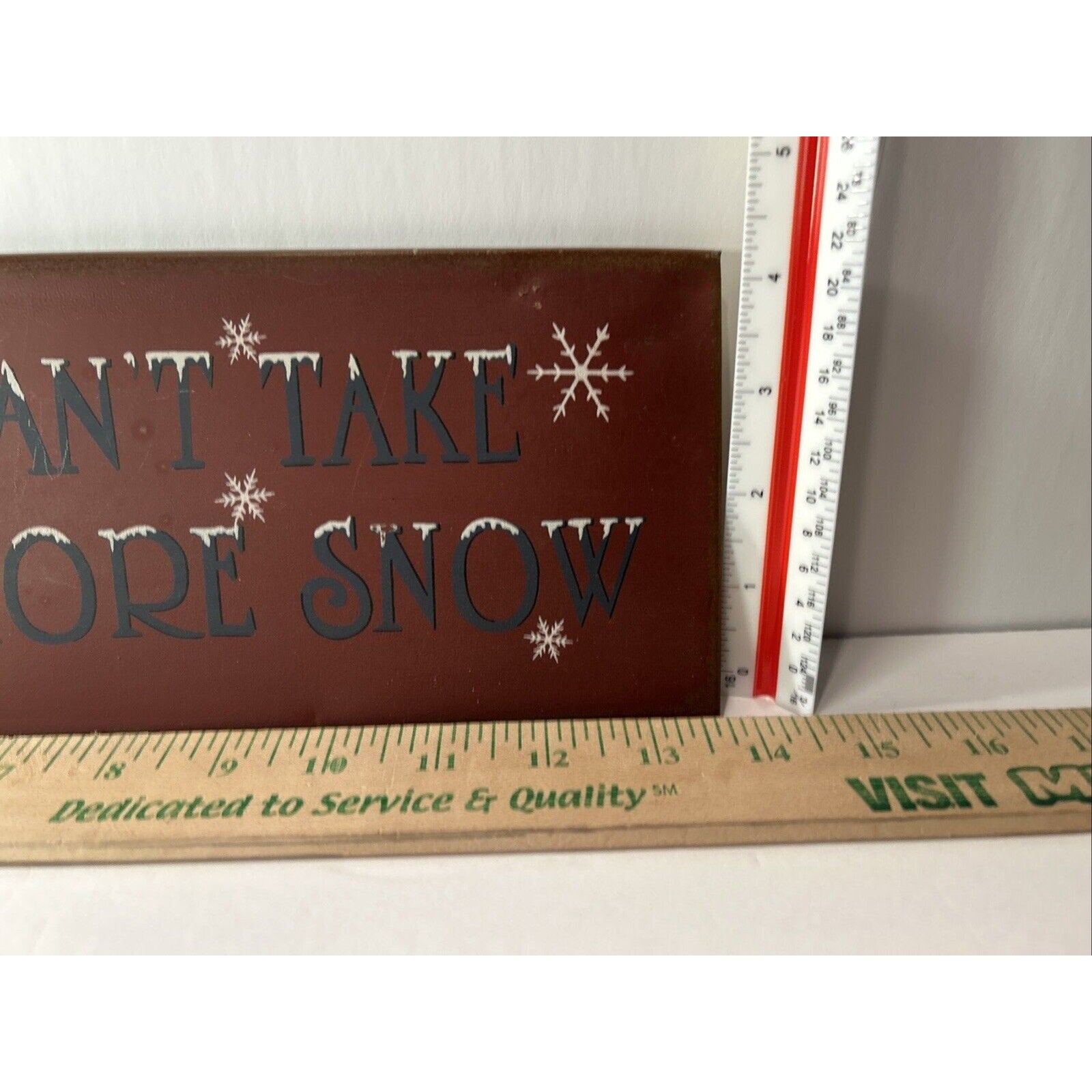 Even I Can't Take Any More Snow Metal Sign