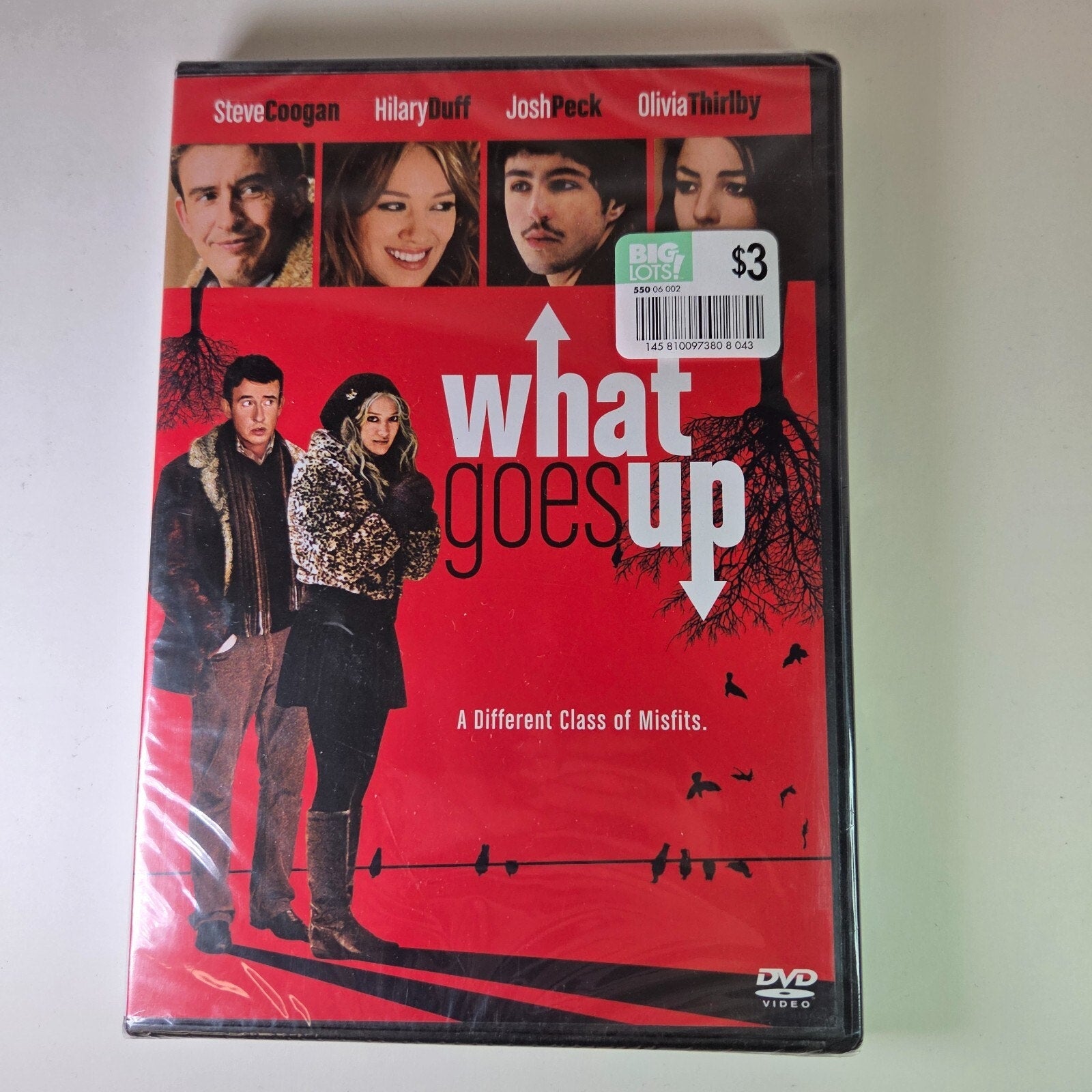 What Goes Up DVD - Hillary Duff