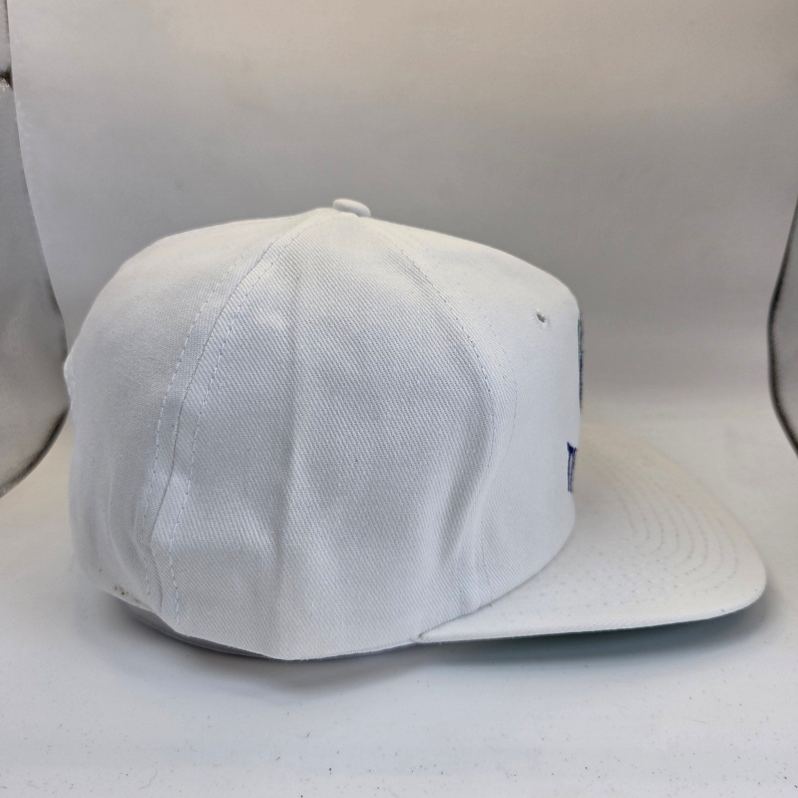 Vintage Minnesota Timberwolves Twins Enterprise Snapback Hat White Taiwan NBA