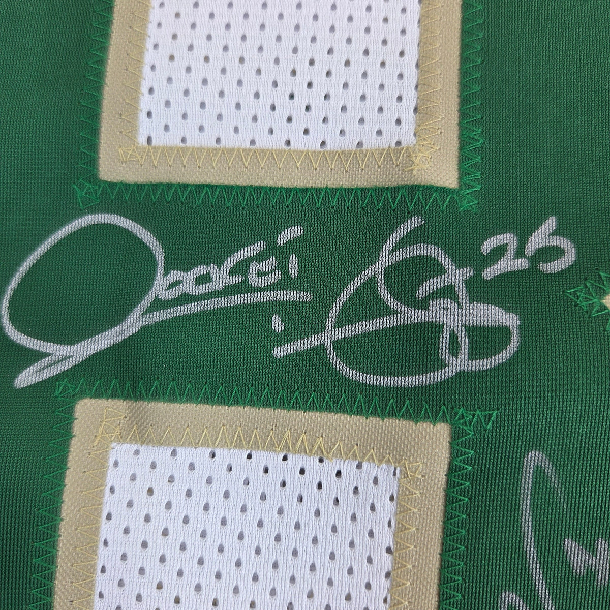 Notre Dame 1988 National Champions Team Signed Jersey 10 Autos BAS Witness