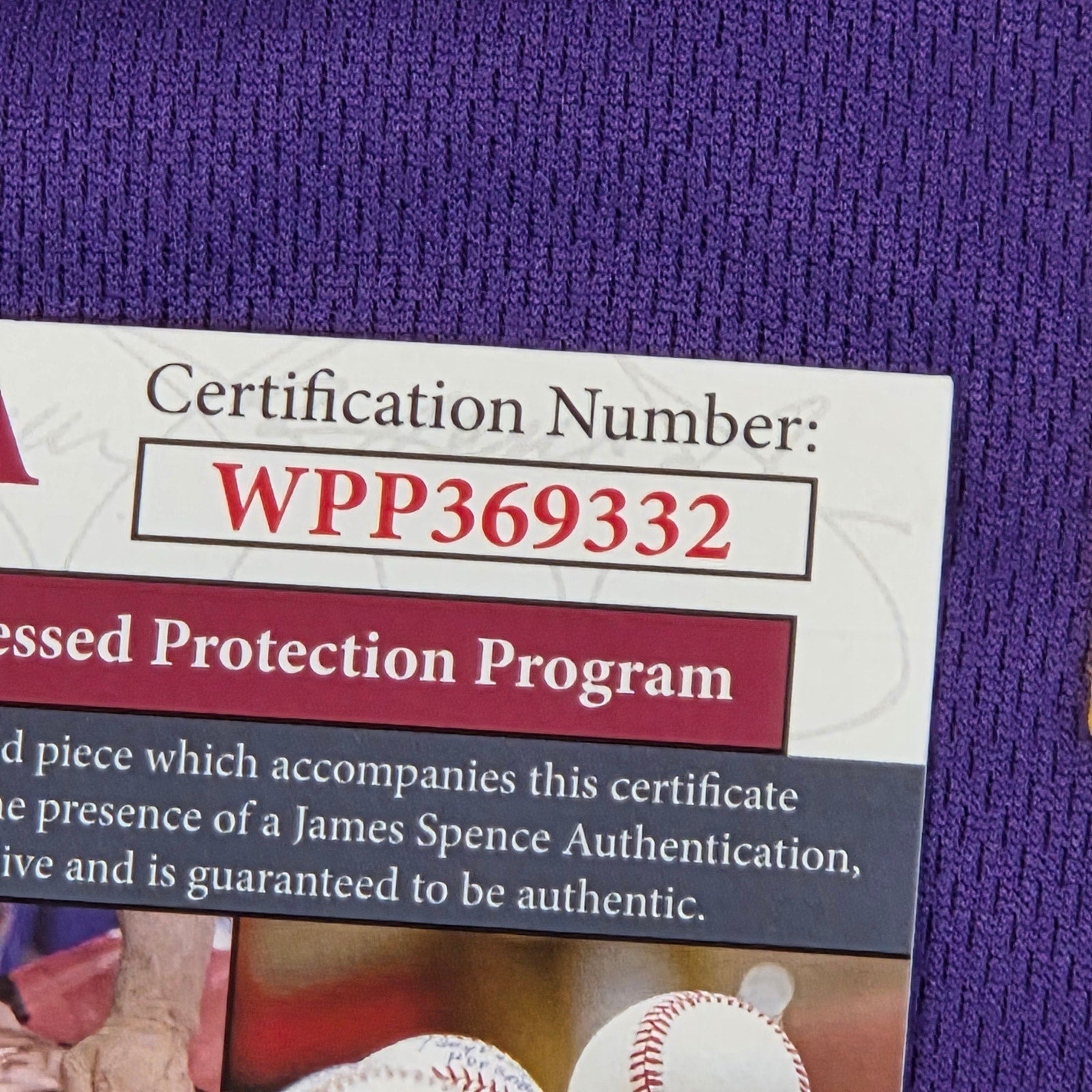 Williams Wall Vikings #93 #94 Kevin Williams Signed Jersey JSA COA XL Purple