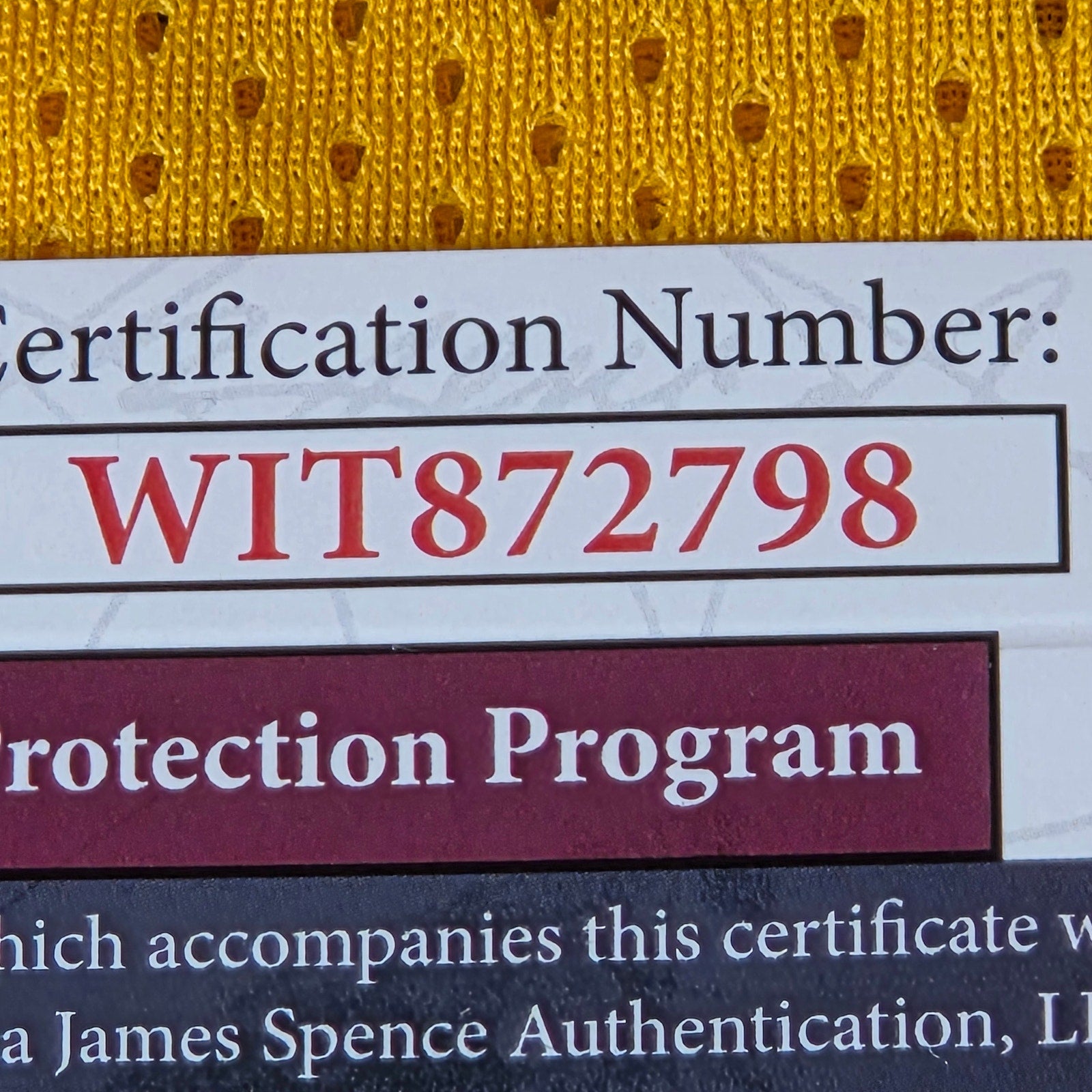 Antonio Gates Signed Kent State Basketball Custom Jersey JSA Witness