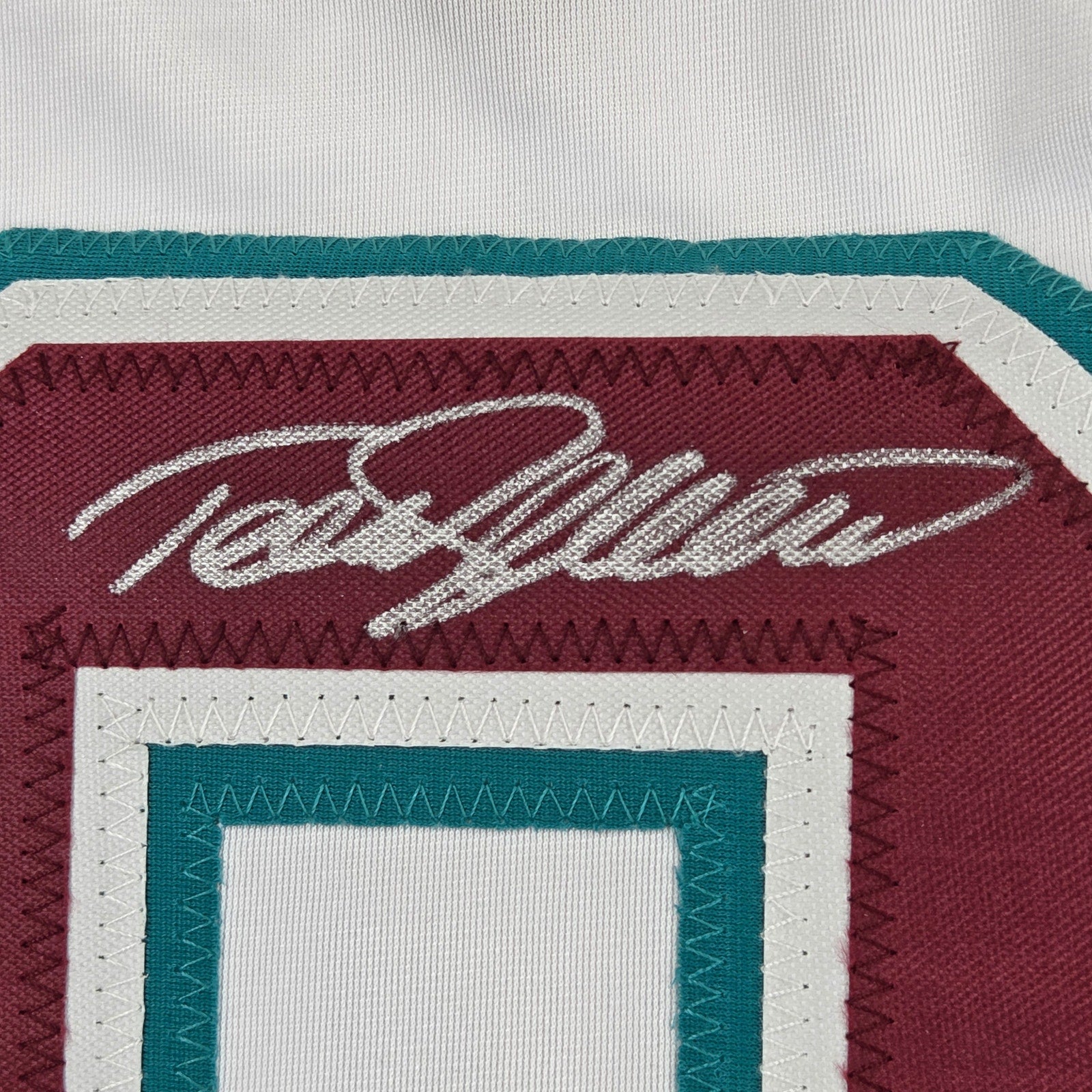 Teemu Selanne Signed Anaheim Ducks Custom Jersey HOF 17 BAS Witness Certified