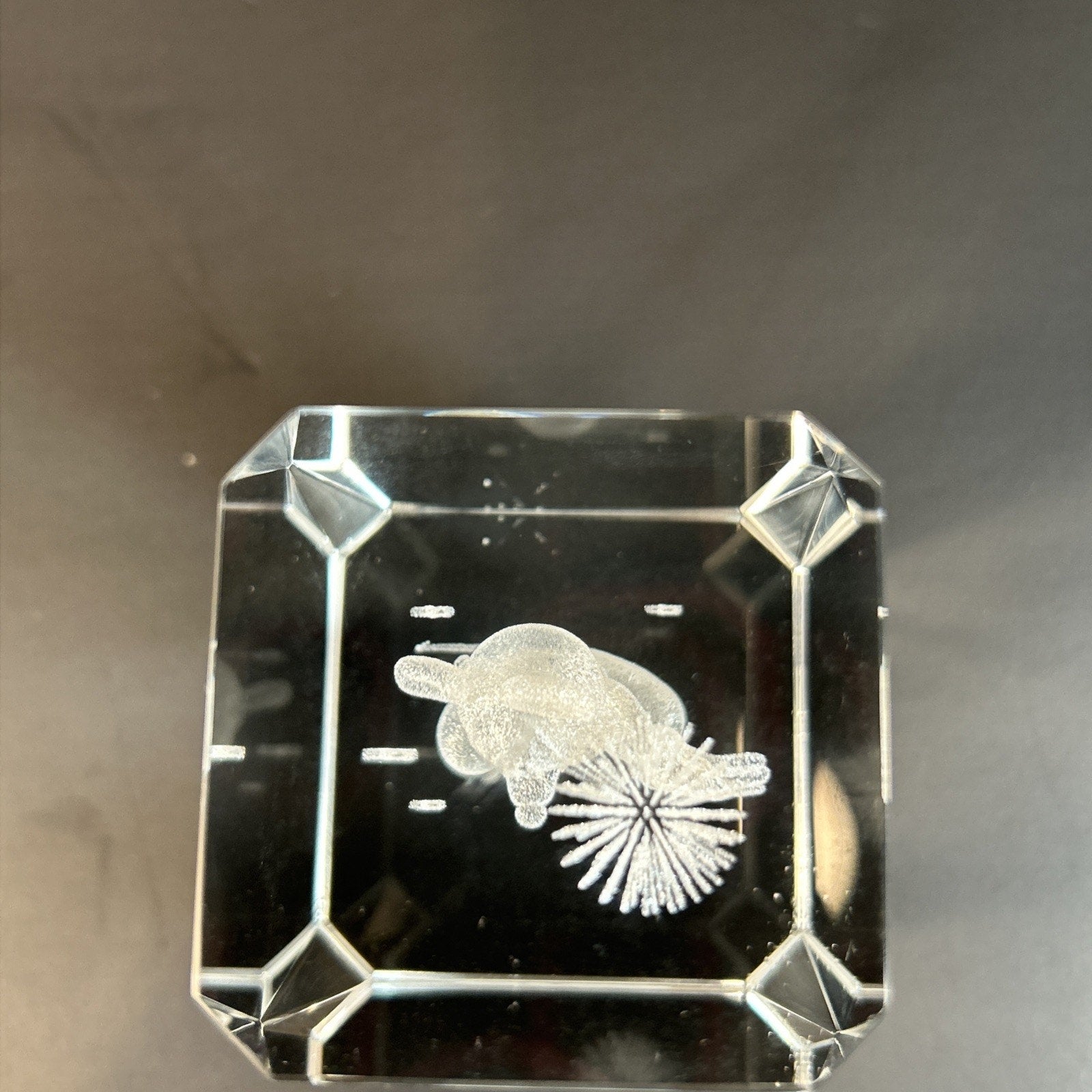 Mickey Mouse with Fireworks 3d Etched Disney Crystal Glass 3"x2" Paper Weight