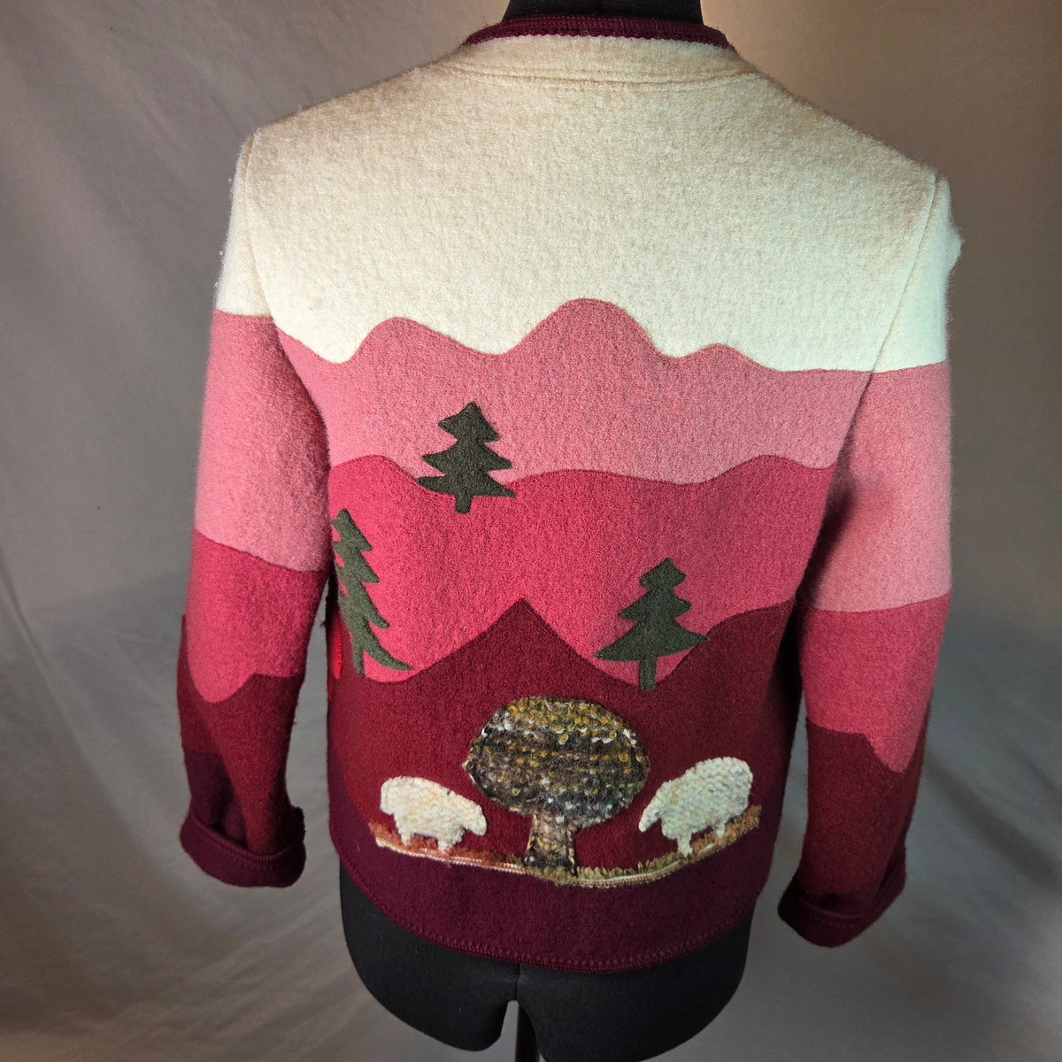 Giesswein Tirol Boiled Wool Storybook Cardigan Jacket Austria EU 38 Vintage