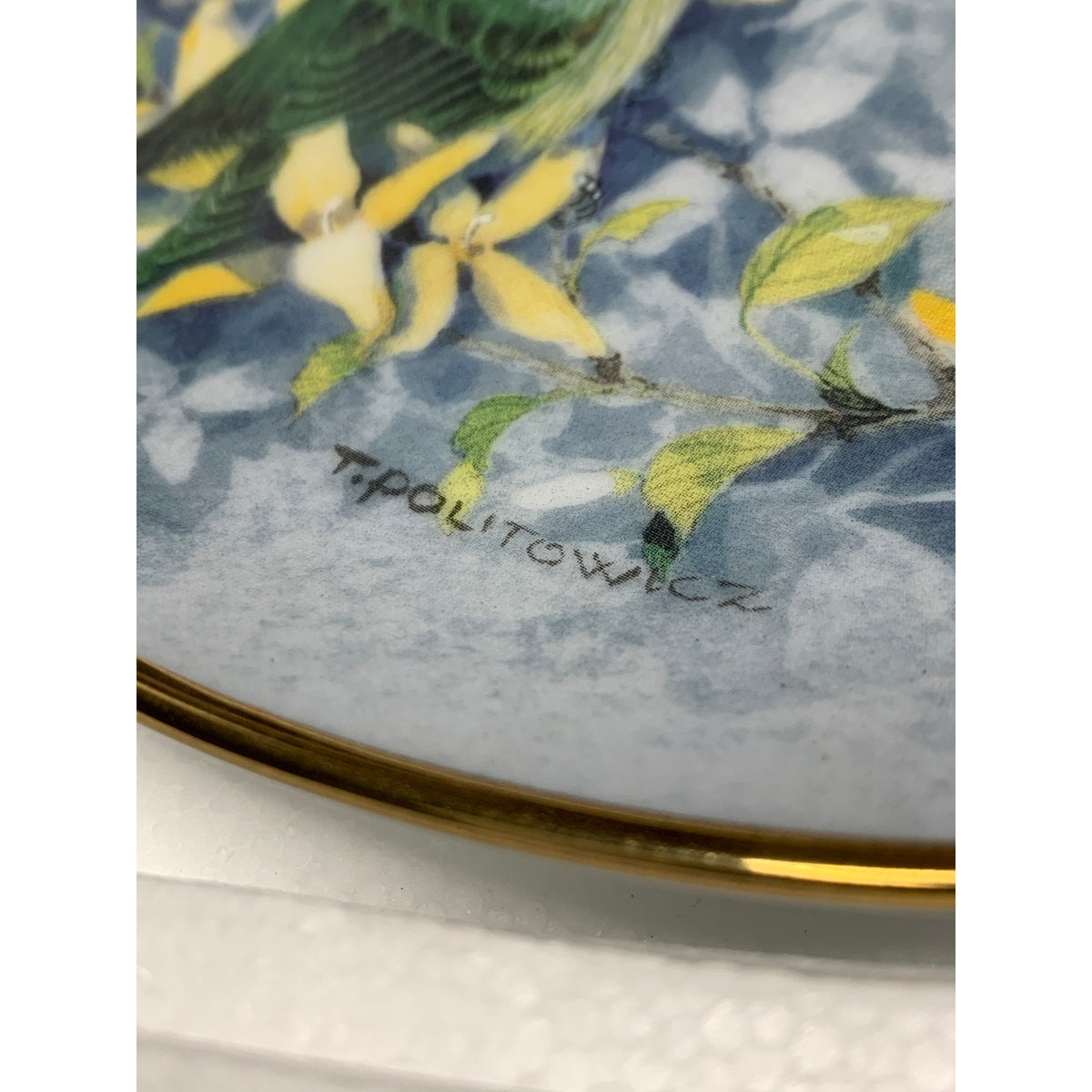 Franklin Mint Songs of Spring Theresa Politowicz Bird Collector Plate KA1423
