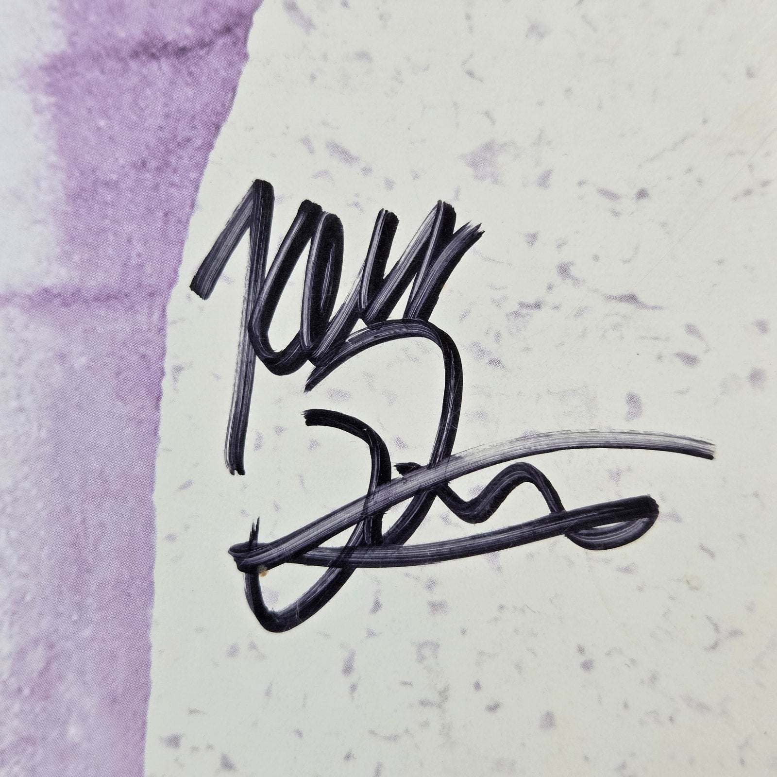 The Antlers Familiars Signed Vinyl LP x4 Peter Silberman JSA COA 2014
