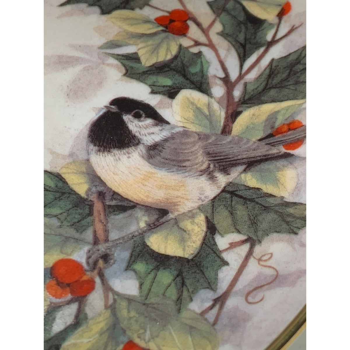Franklin Mint Holiday Chorus Theresa Politowicz Bird Collector Plate R5588
