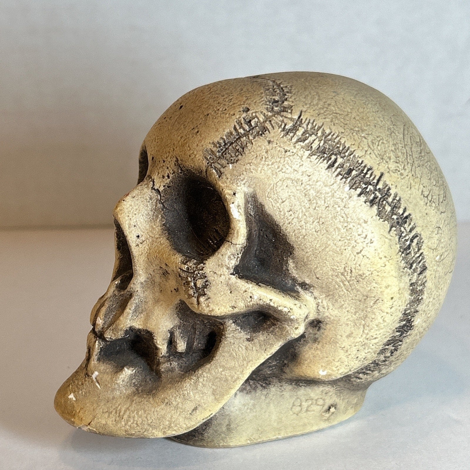 Rare Antique Ernst Bohne Bisque Skull Figurine #829 Germany 1900s – Macabre