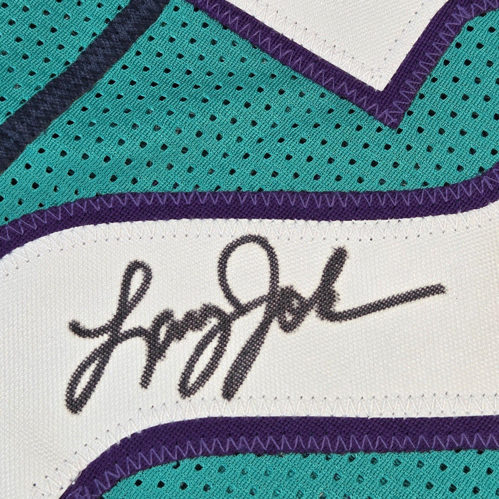 Larry Johnson Signed Charlotte Hornets Grandmama Custom Jersey JSA COA XL