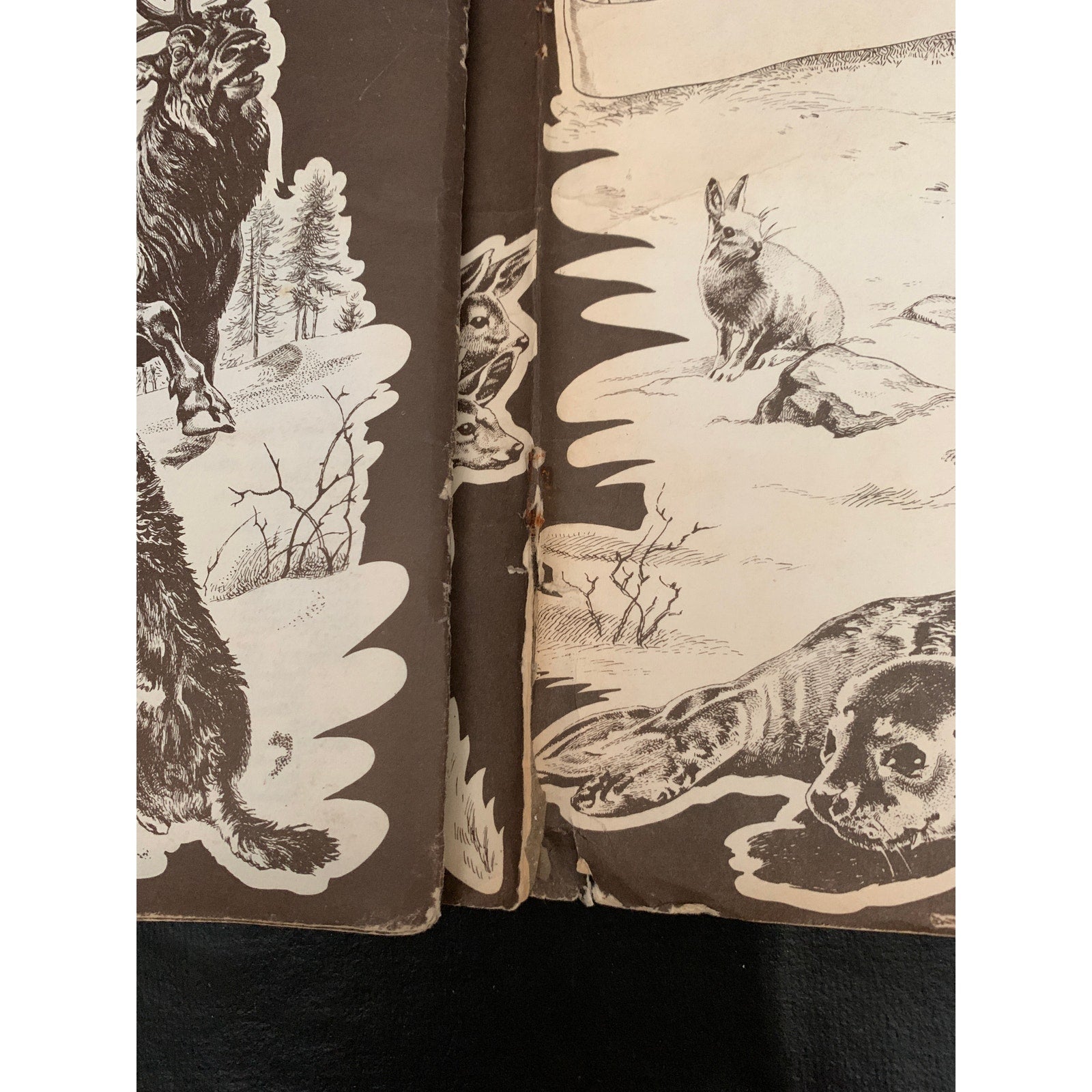 1959 Wonders of the Animal Kingdom Stamp Album Howard Winter Golden Glow AS IS